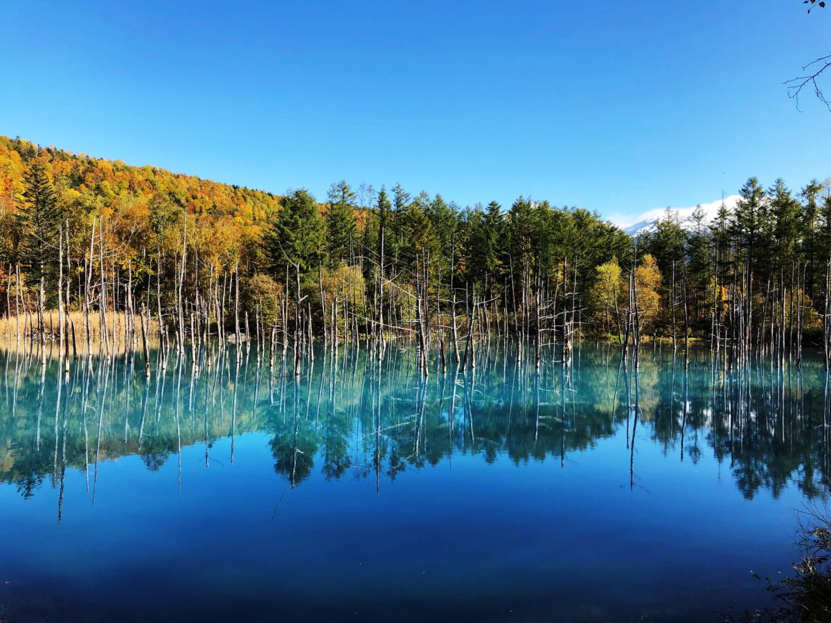 Blue Pond in Hokkaido